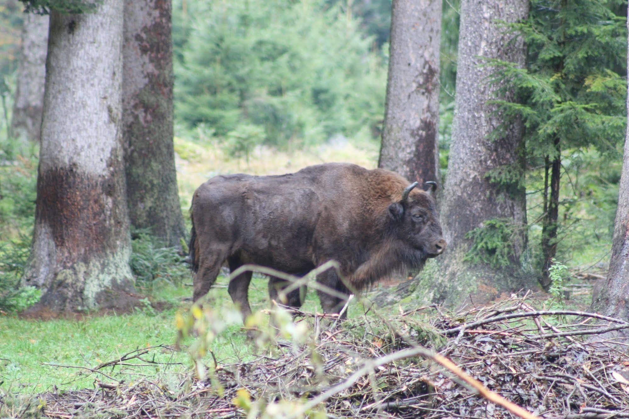 Scottish Highlander Guesthouse Mauth Zewnętrze zdjęcie