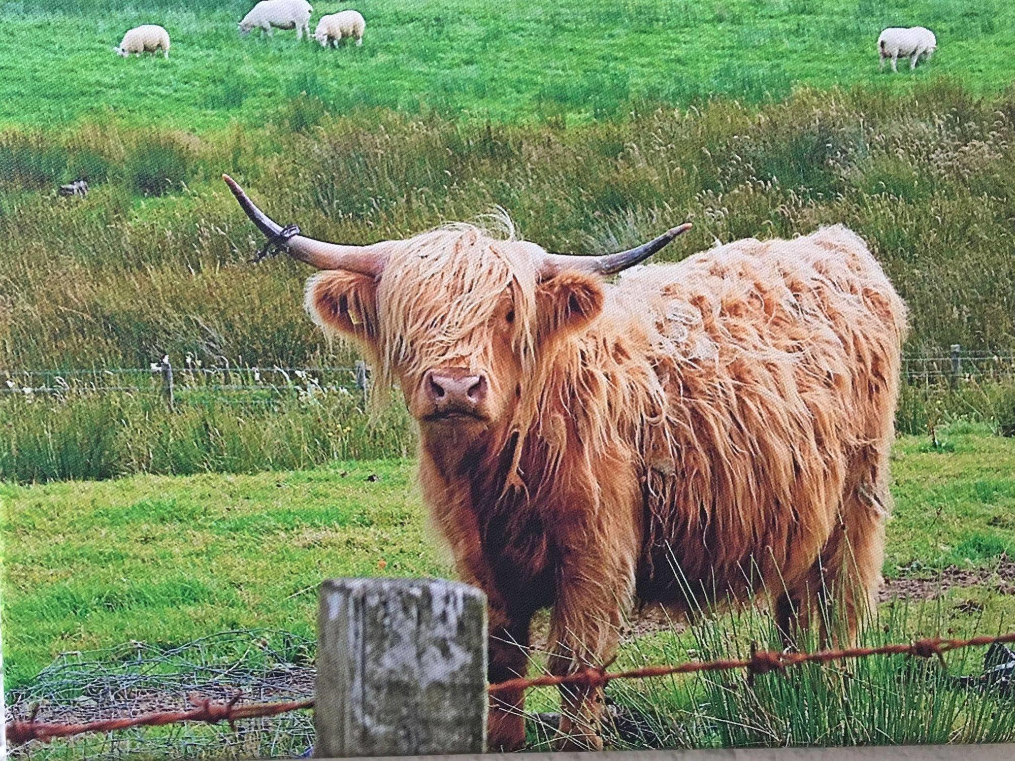 Scottish Highlander Guesthouse Mauth Zewnętrze zdjęcie